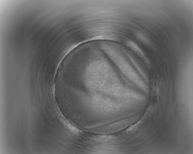 X0000066951284200604071929