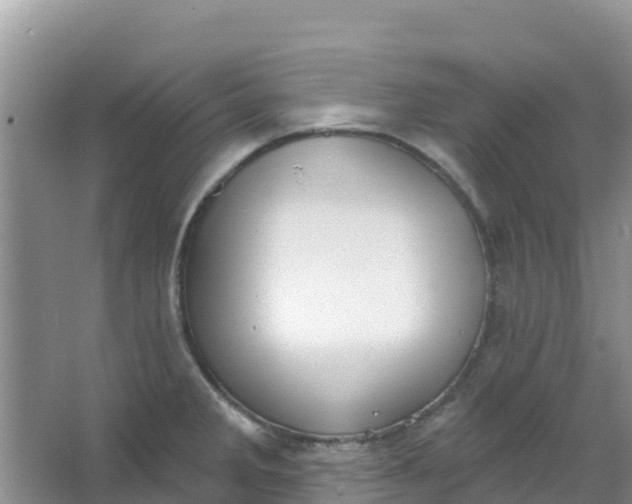 X0000066951285200604071929