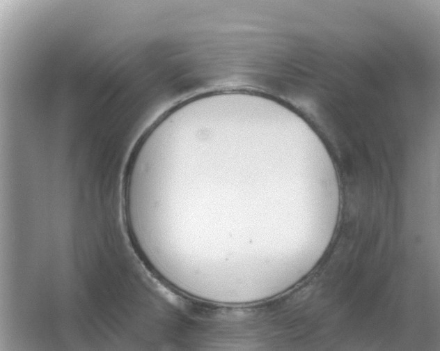 X0000066951286200604071929