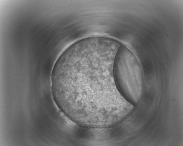 X0000066951287200604071929