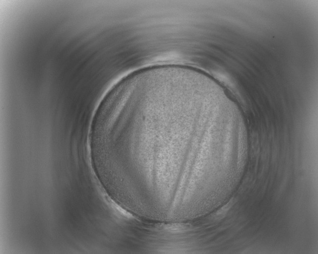 X0000066951288200604071929