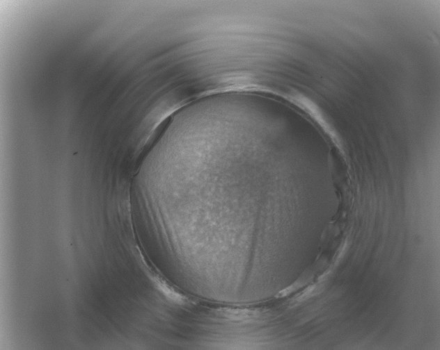 X0000066951289200604071929