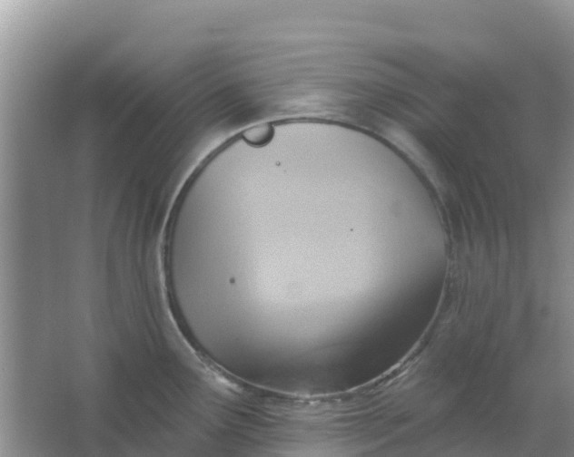 X0000066951291200604071928