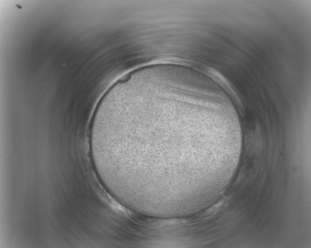 X0000066951292200604071928