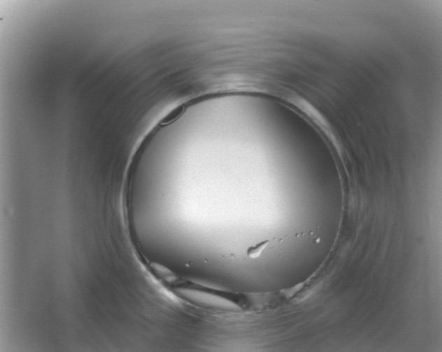 X0000066951293200604071928