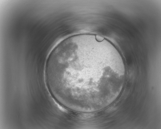 X0000066951294200604071928