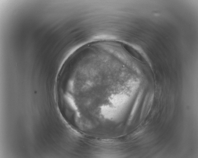 X0000066951295200604071928