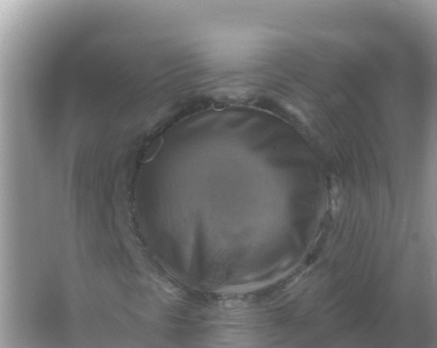 X0000066951297200604071928