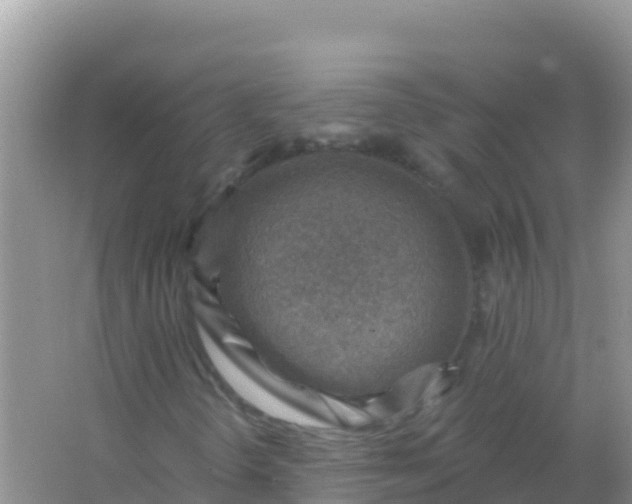 X0000066951298200604071928