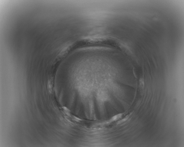 X0000066951300200604071928