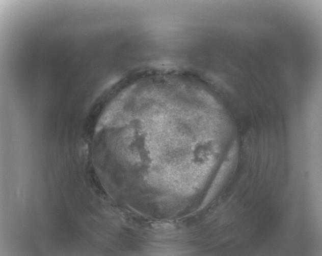 X0000066951302200604071928