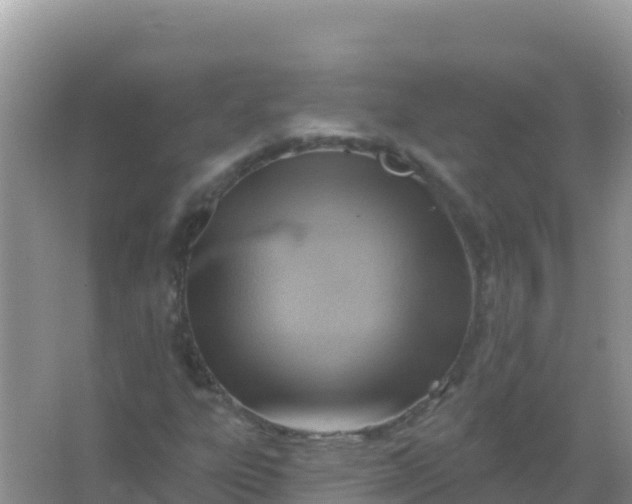 X0000066951303200604071928