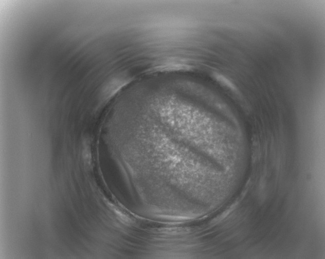 X0000066951305200604071928