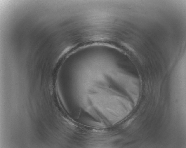 X0000066951306200604071928