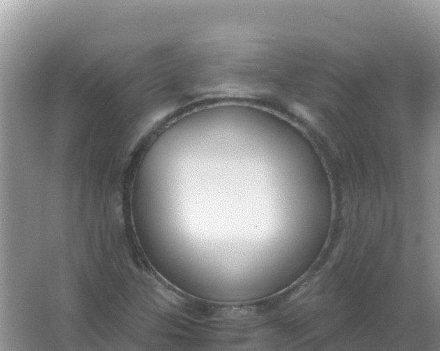 X0000066951307200604071928