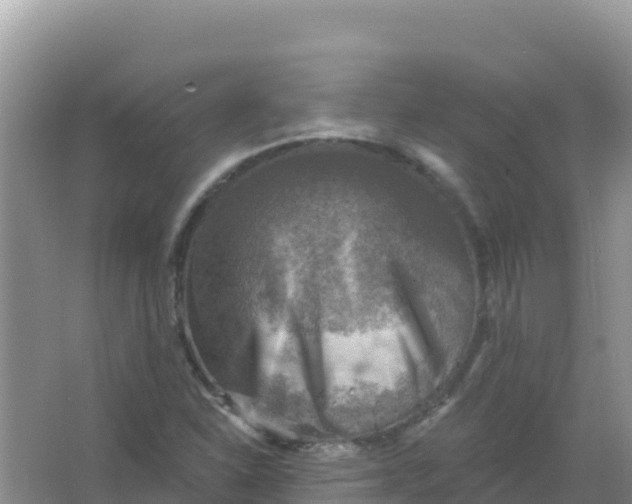 X0000066951310200604071928