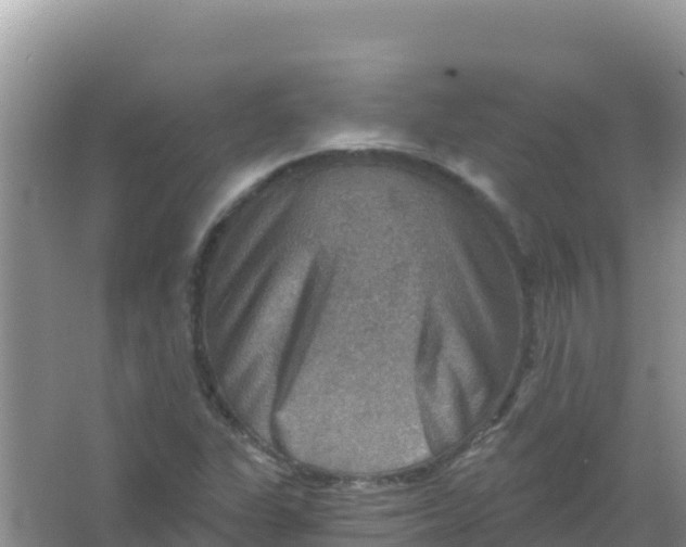 X0000066951311200604071928