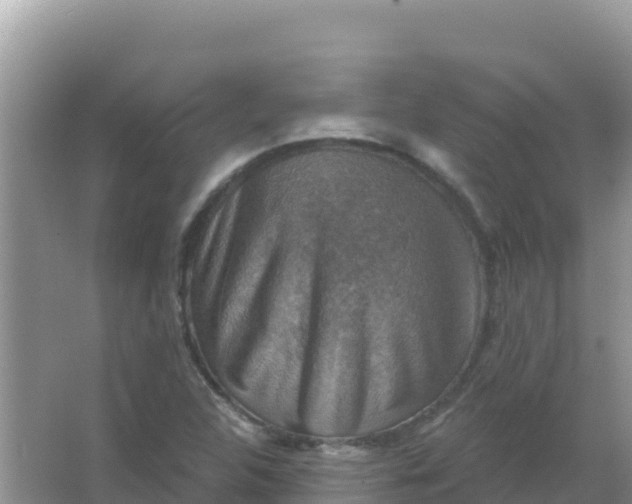 X0000066951312200604071928