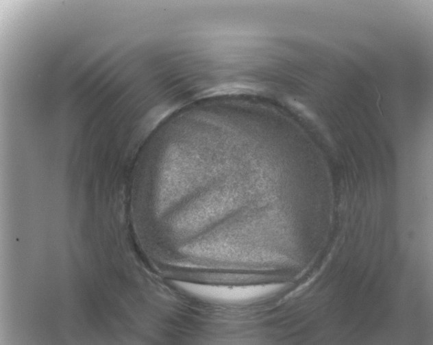 X0000066951313200604071928