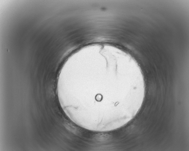 X0000066951314200604071928