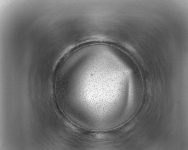 X0000066951318200604071928