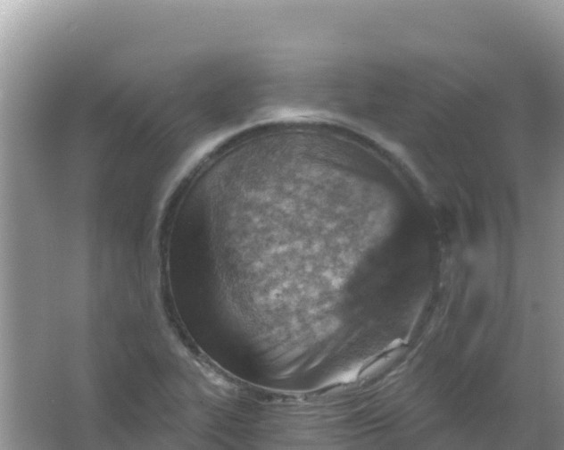 X0000066951319200604071928