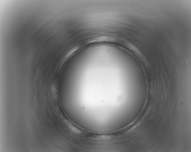 X0000066951321200604071928