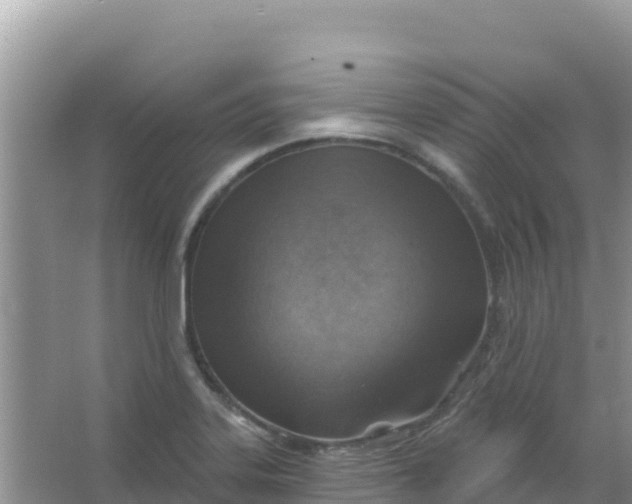 X0000066951323200604071928