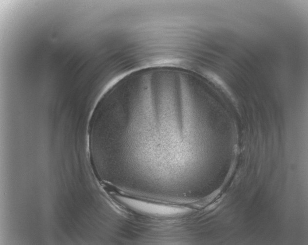 X0000066951324200604071928