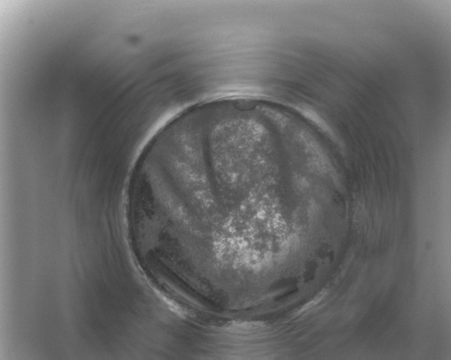 X0000066951325200604071928