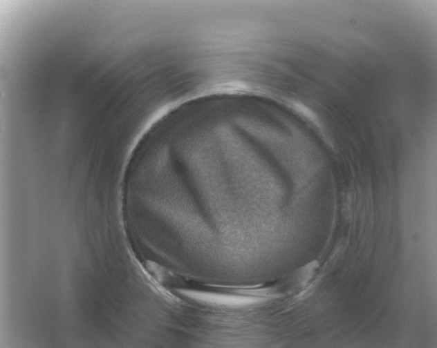 X0000066951326200604071928