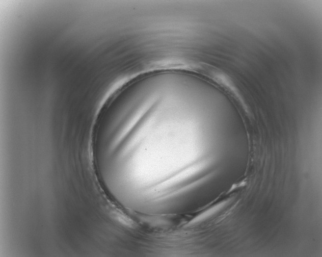 X0000066951328200604071928