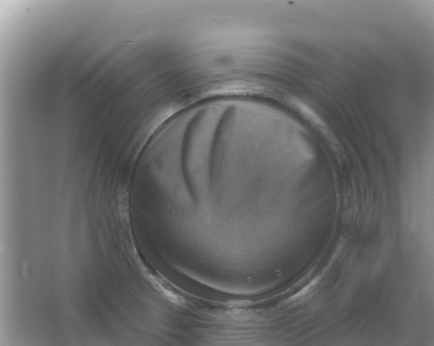 X0000066951329200604071928