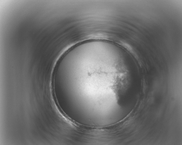 X0000066951331200604071928