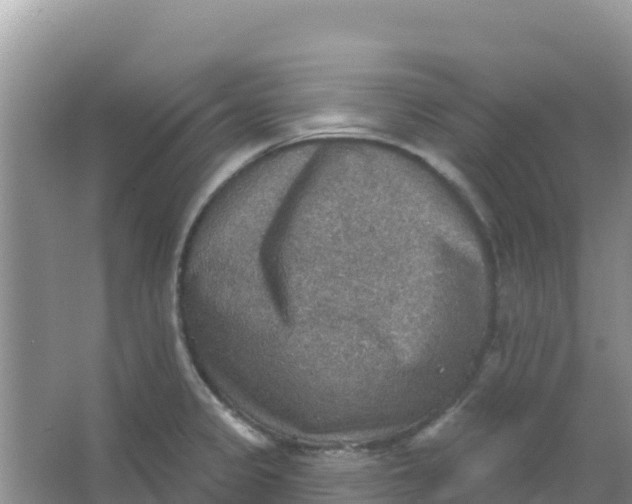 X0000066951333200604071928