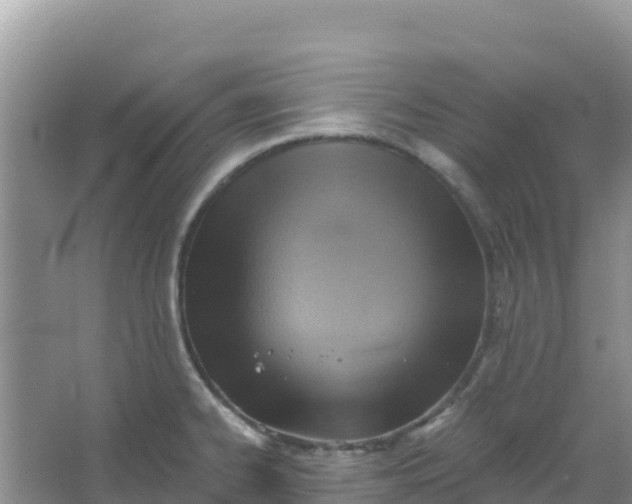 X0000066951334200604071928