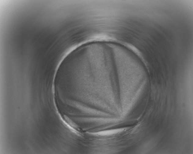 X0000066951335200604071928