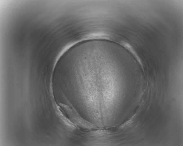 X0000066951336200604071928