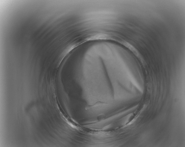 X0000066951337200604071928