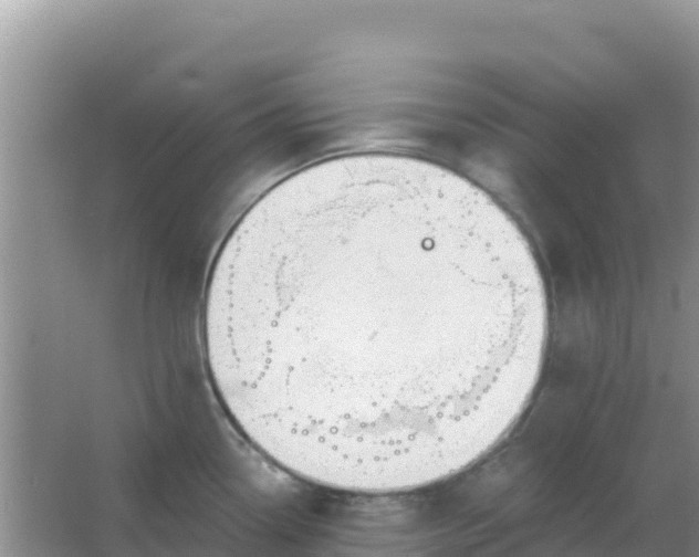 X0000066951338200604071928