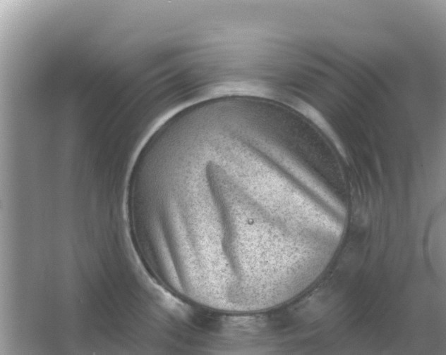 X0000066951339200604071928