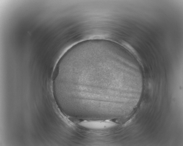 X0000066951340200604071928