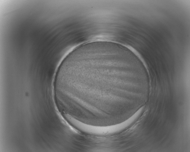 X0000066951341200604071928