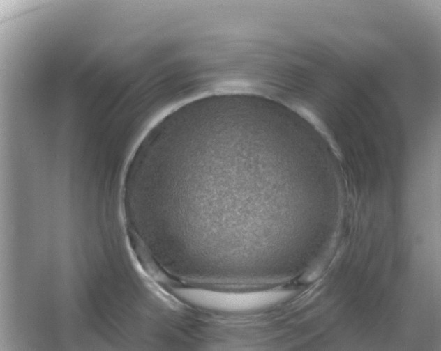 X0000066951342200604071928