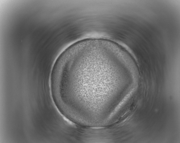 X0000066951343200604071928