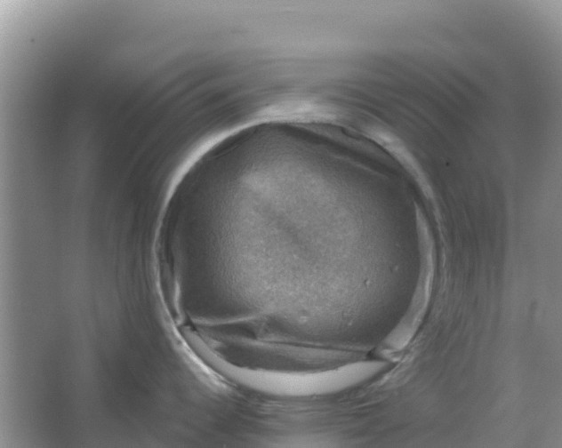 X0000066951344200604071928