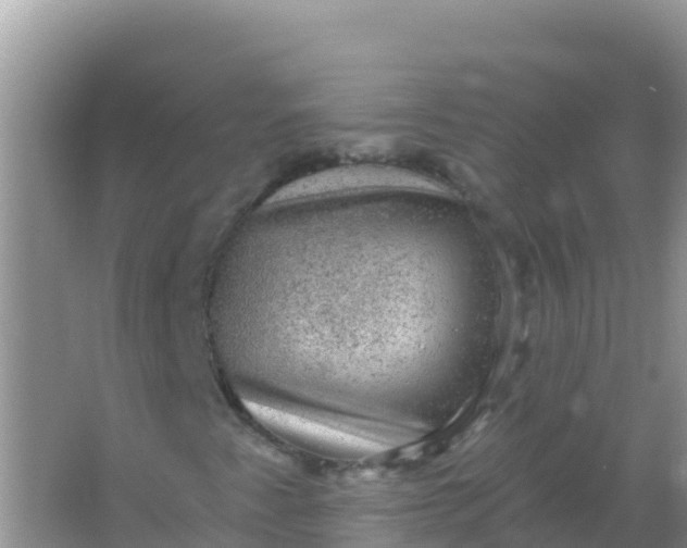 X0000066951345200604071928