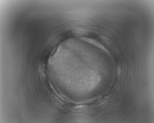 X0000066951346200604071928