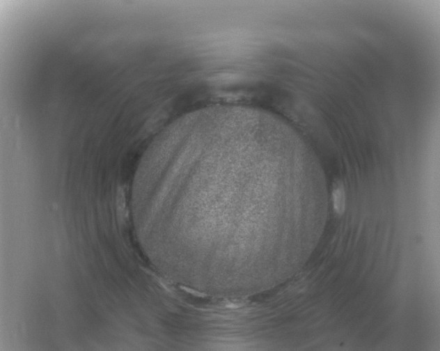 X0000066951347200604071928