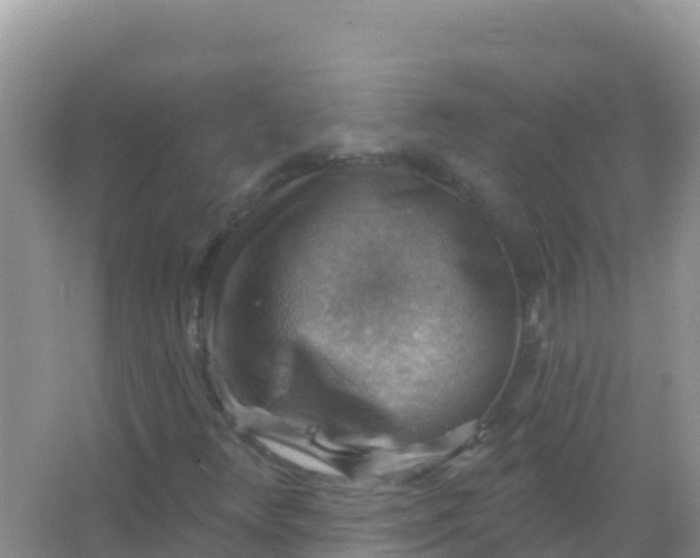 X0000066951348200604071928